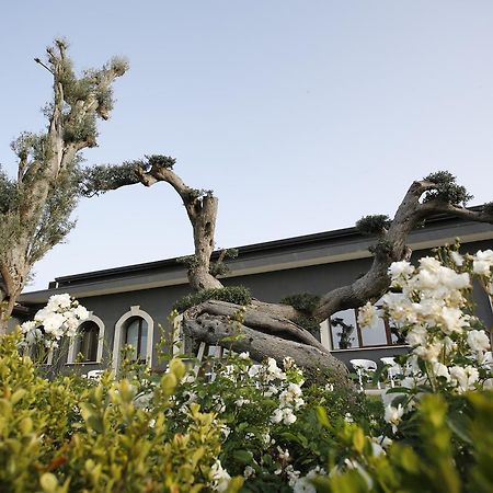 Terra Di Venera Villa Santa Venerina Buitenkant foto